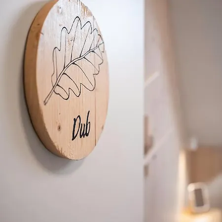 Villa Polomka S Jacuzzi - Nizke Tatry - 5 Spalni *