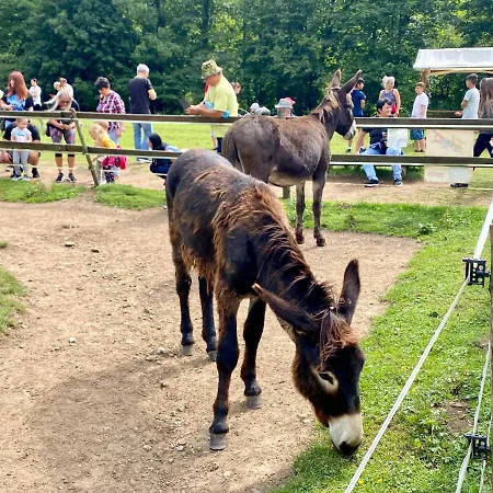 Villa Polomka S Jacuzzi - Nizke Tatry - 5 Spalni *