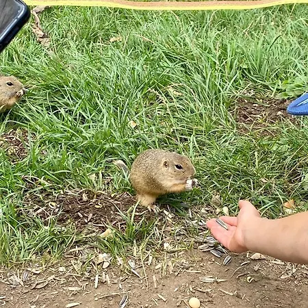 Vila Polomka S Jacuzzi - Nizke Tatry - 5 Spalni